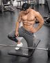 Discount Code Myprotein Steve Kris : 37% discount off